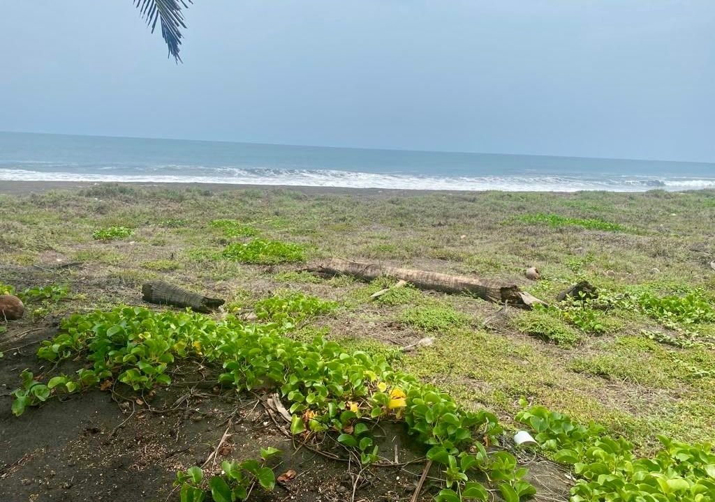 terreno en monterrico frente al mar, lindo IMG-20240918-WA0067 (1)