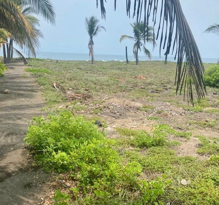 terreno en monterrico frente al mar, lindo IMG-20240918-WA0067 (2)