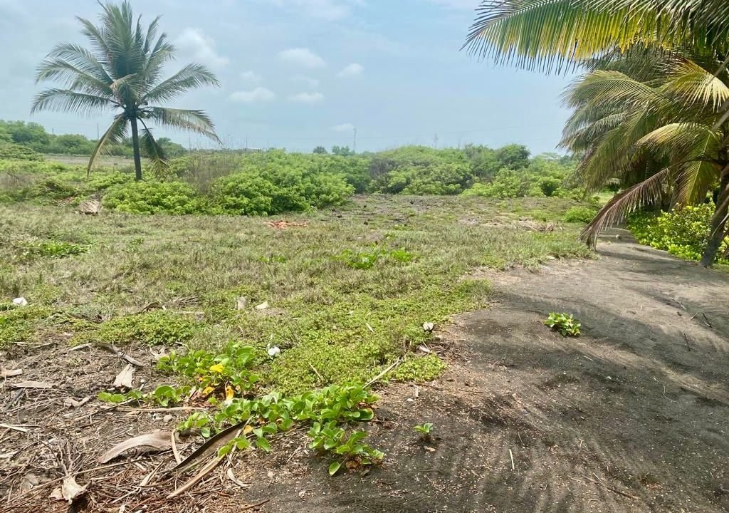 terreno en monterrico frente al mar, lindo IMG-20240918-WA0067 (3)