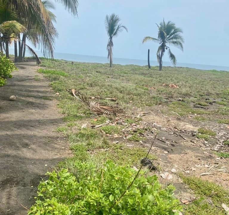 terreno en monterrico frente al mar, lindo IMG-20240918-WA0067 (6)