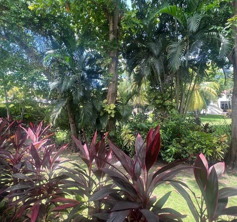 Casa-I-7-villas-del-PacificoIMG-20230821-WA0160-17