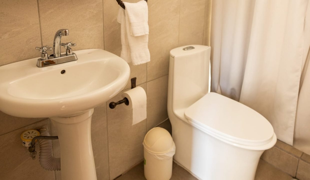 IMG-20240617-WA0081