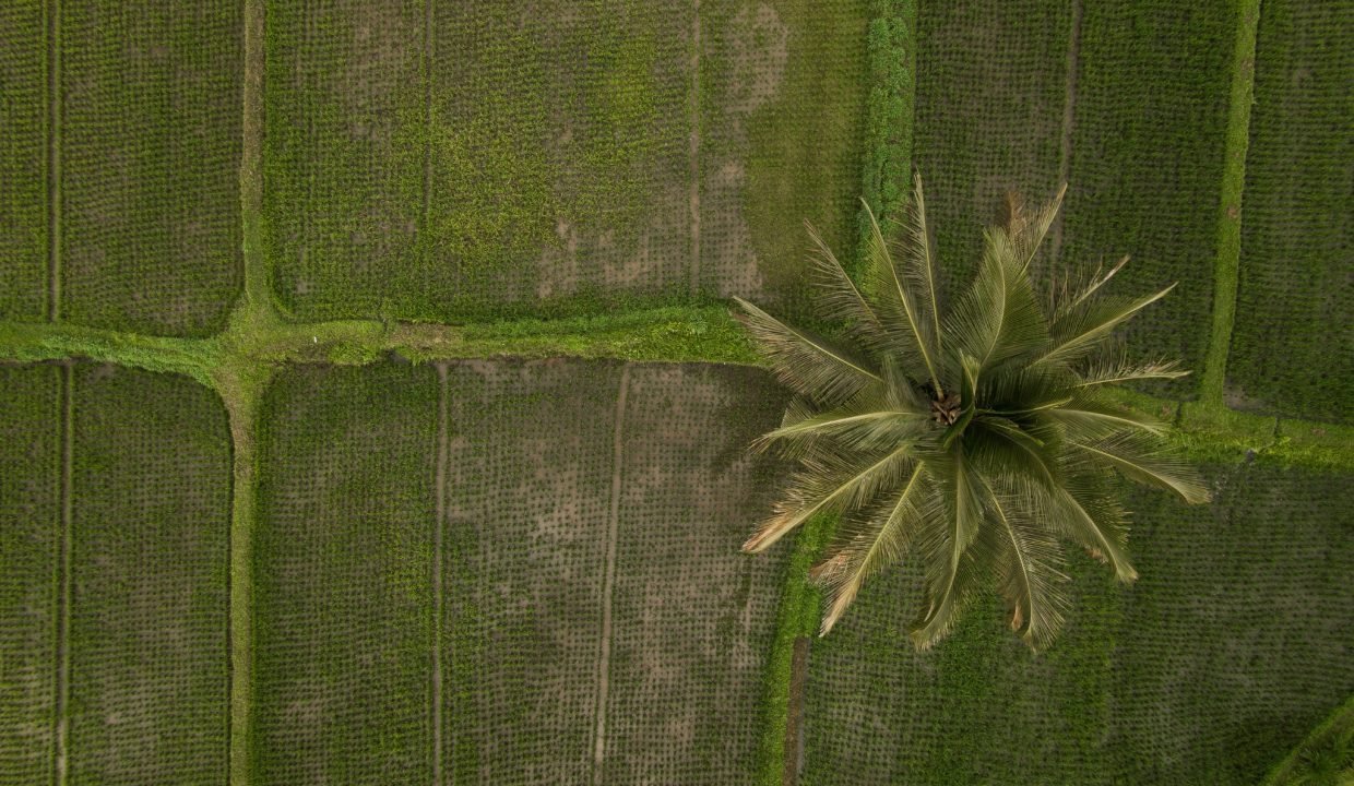 land overview drone
