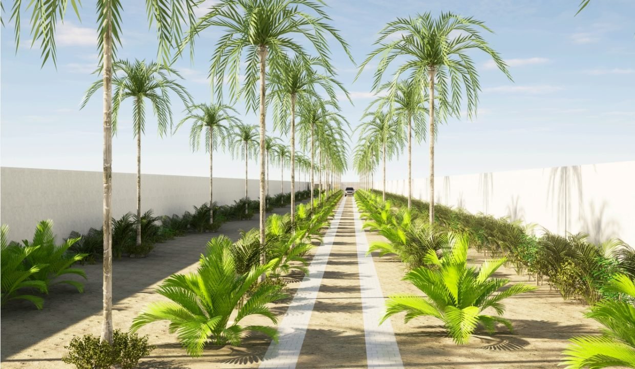 La Palapa Chulamar Lux (10)