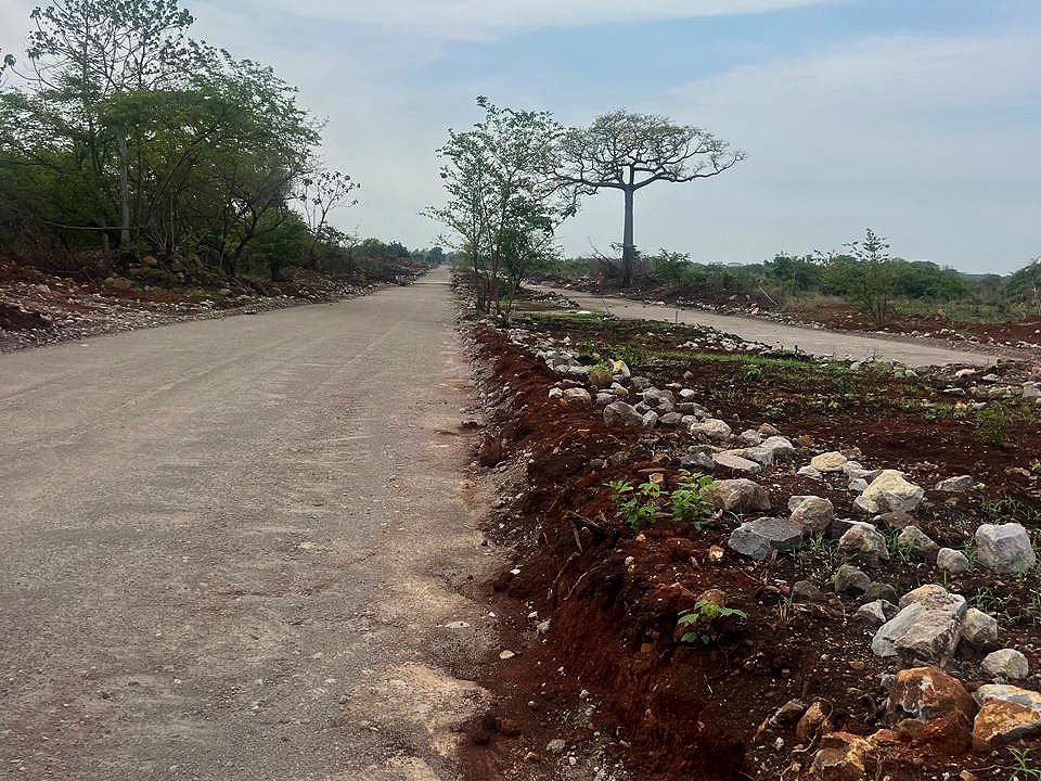 Terrenos industriales en autopista Puerto Quetzal (2) (1)