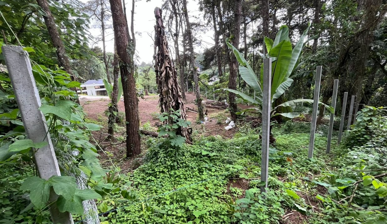 Terreno en Santa Rosalía Excelente ubicación Km 12 5 carretera a El Salvador (3)