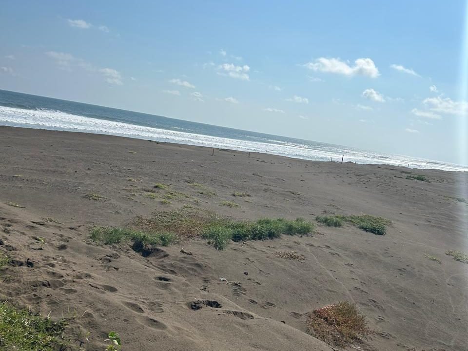 Terreno Frente Al Mar En El Paredón