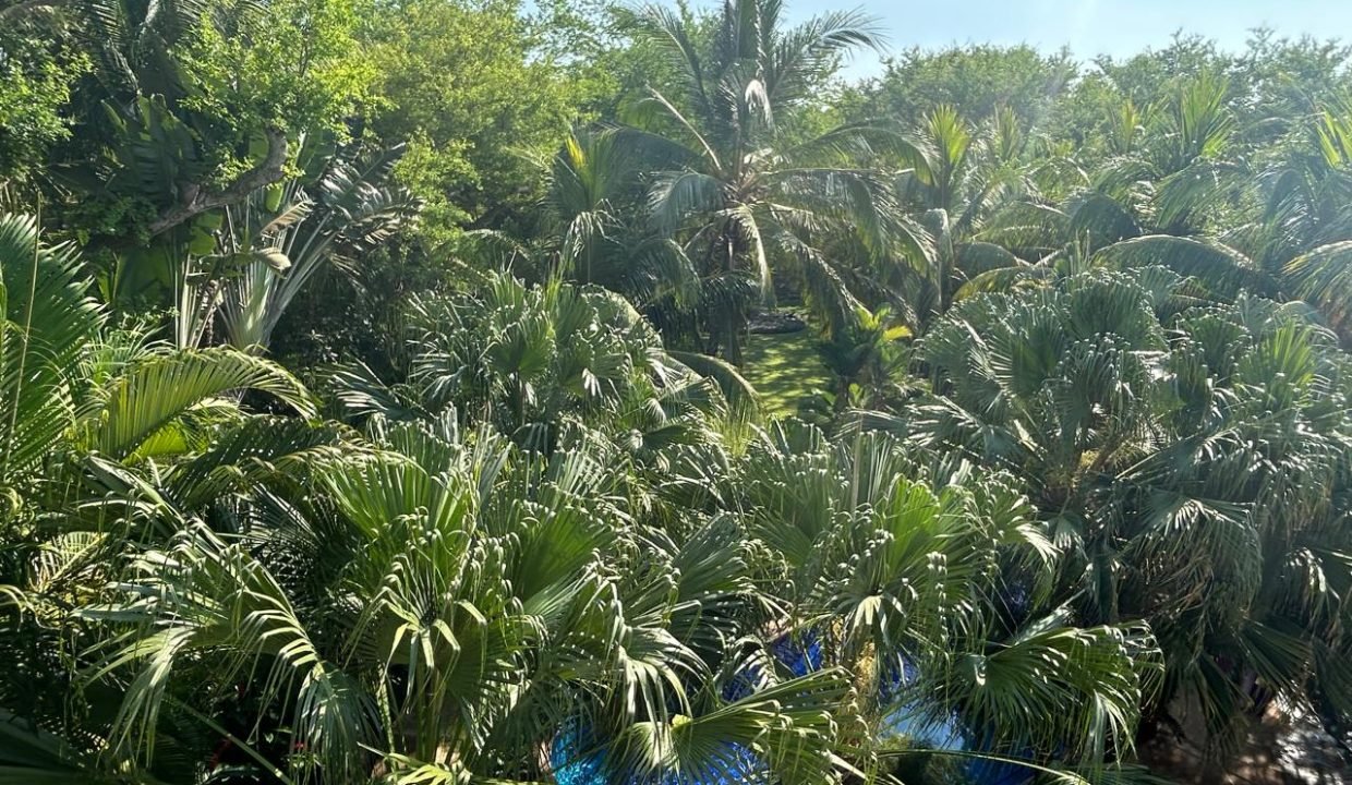 Casa En Venta En Condominio Tamarindo Monterrico 4 Habitaciones 5.5 Baños Con Título De Propiedad Preciosa Jardinización Y Mantenida En Excelente Estado $390k Ricardo Fish Real Estate (10)