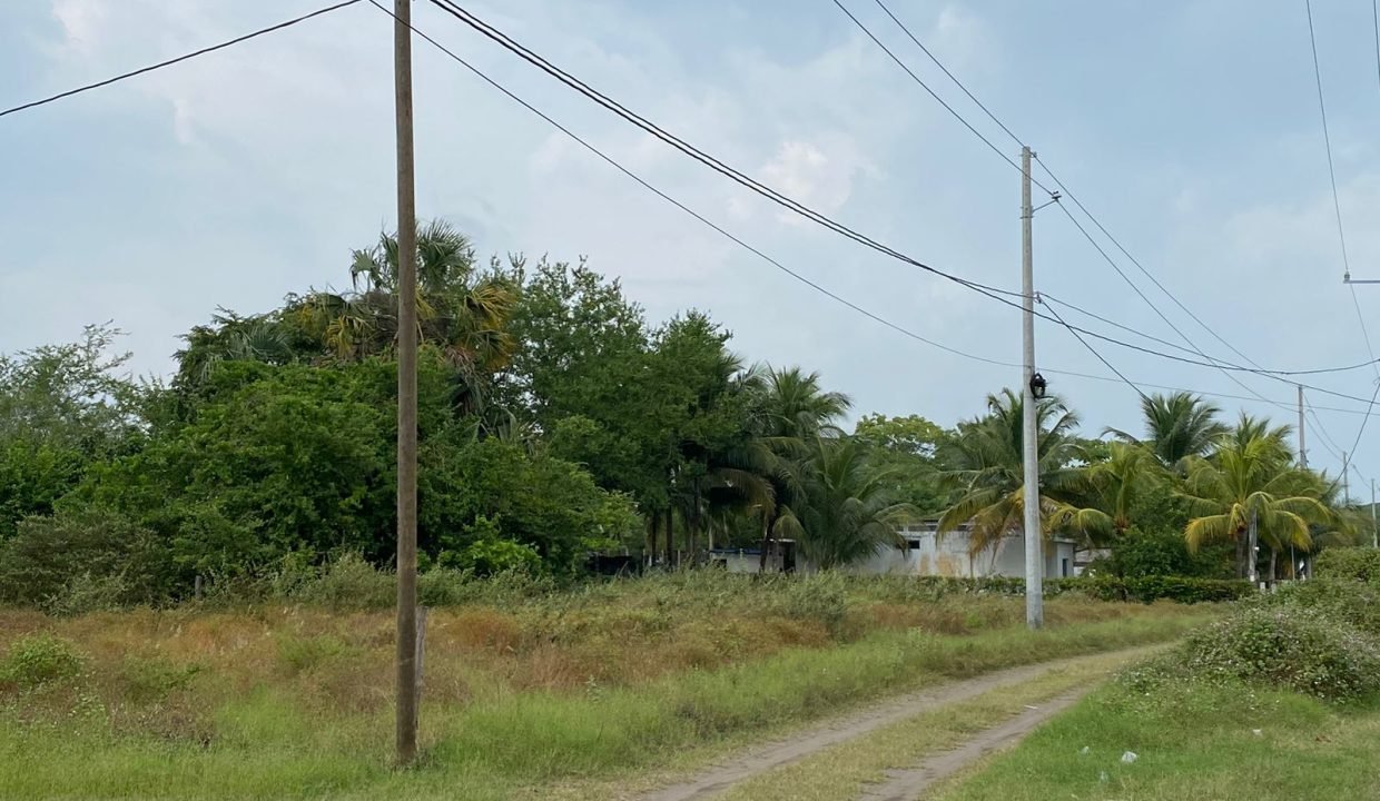 Dos Terrenos En Monterrico A 250m Del Mar En Km 144 Carretera A Monterrico, Aldea El Pumpo (2)