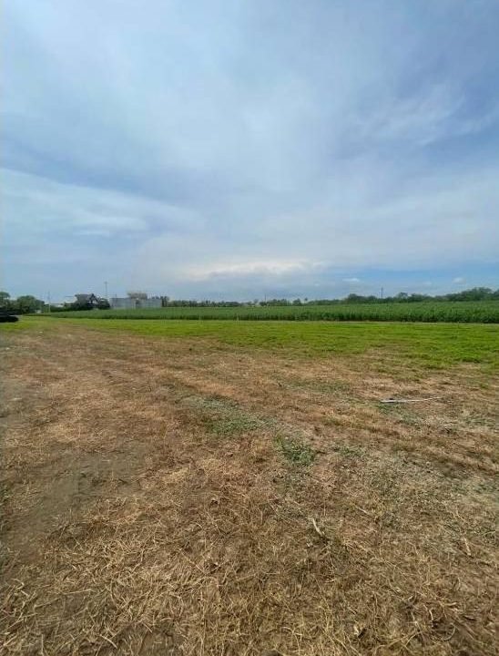 Terreno En El Paredón Cerca Del Mar (5)