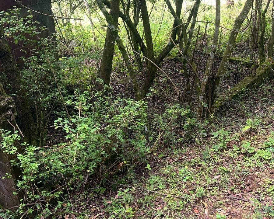 Terreno en San Lucas, Santiago Sacatepéquez (10)