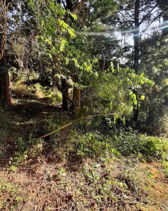 Terreno en San Lucas, Santiago Sacatepéquez (13)