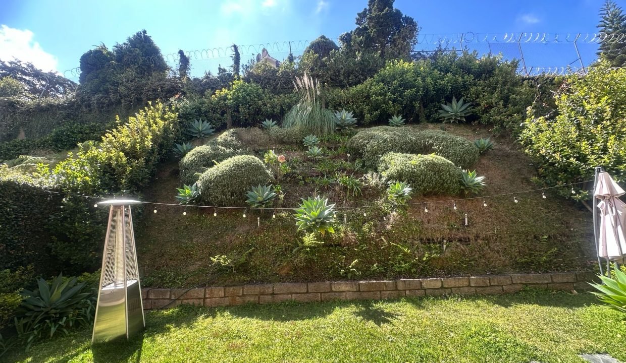 IMG-20250210-WA0018