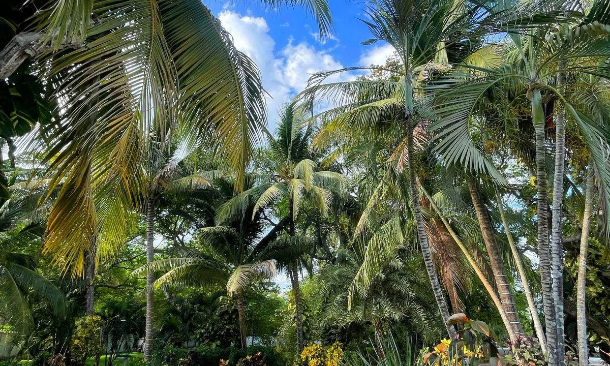 Oportunidad de Inversión: Propiedad Frente l Mar en Monterrico, Ideal para Hotel013 (1)
