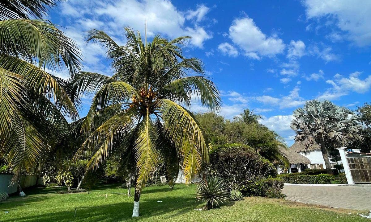 Oportunidad de Inversión: Propiedad Frente l Mar en Monterrico, Ideal para Hotel016 (1)