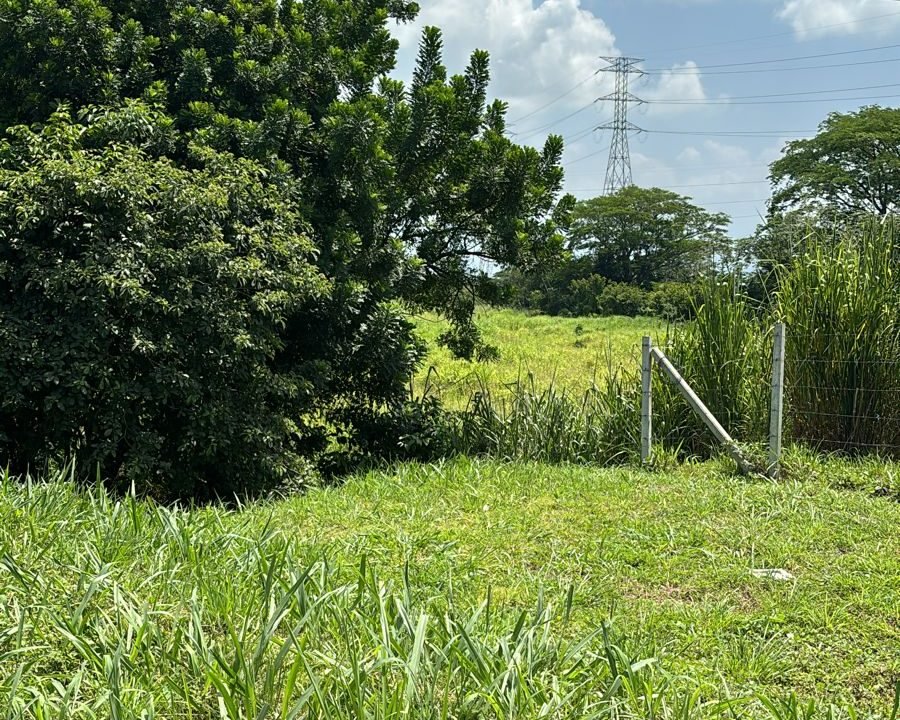 Terreno En Autopista A Puerto Quetzal Con 175m Sobre La Autopista (3)