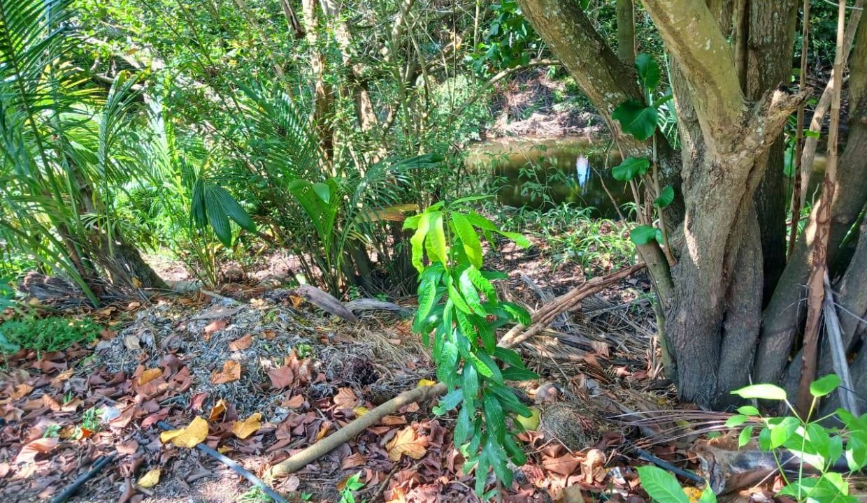 Terreno en Seaside (1)