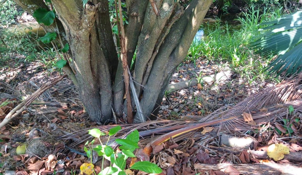Terreno en Seaside (9)