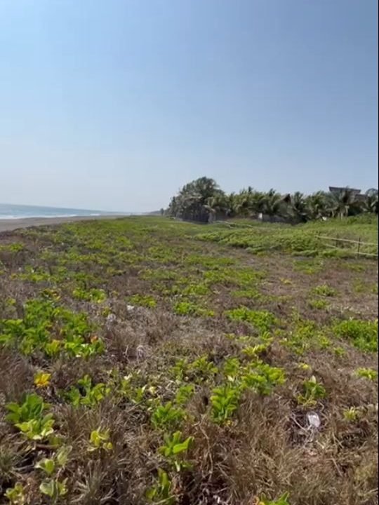 Lindo terreno frente al Mar en Monterico km 147 o 22 kms después del puente. 98 metros de frente por 100 mts de fondo (10)