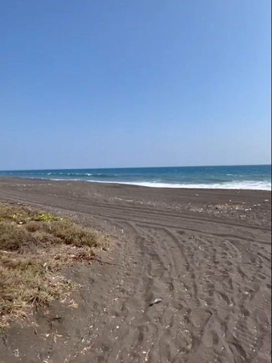 Lindo terreno frente al Mar en Monterico km 147 o 22 kms después del puente. 98 metros de frente por 100 mts de fondo (3)