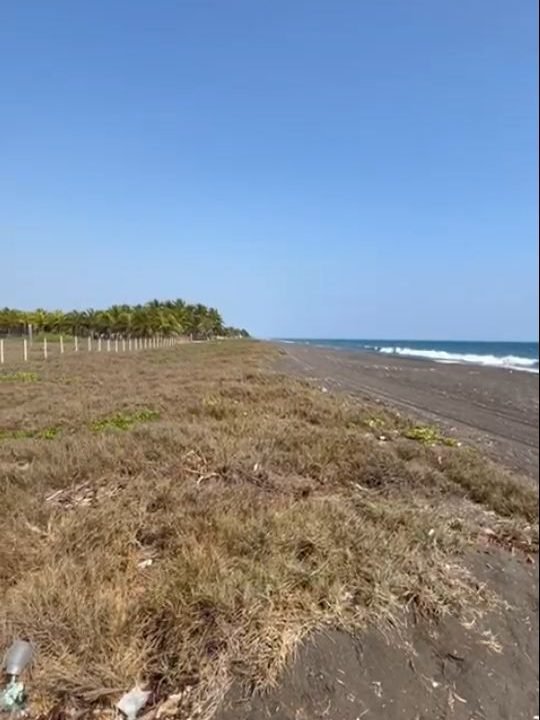 Lindo terreno frente al Mar en Monterico km 147 o 22 kms después del puente. 98 metros de frente por 100 mts de fondo (4)