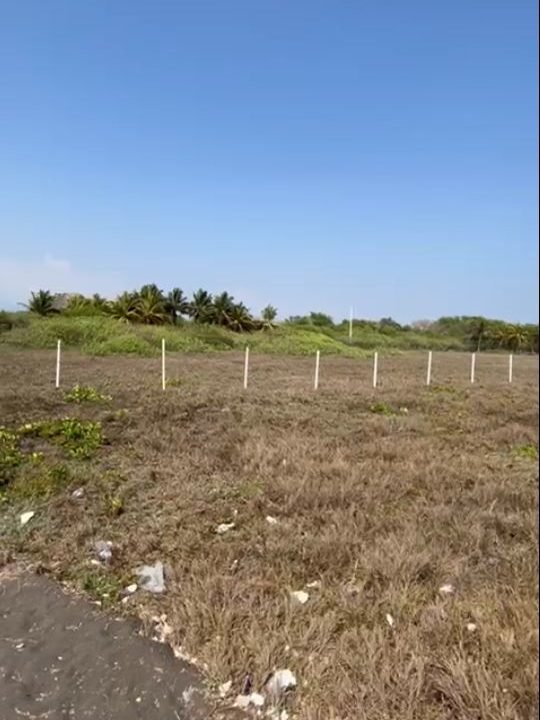 Lindo terreno frente al Mar en Monterico km 147 o 22 kms después del puente. 98 metros de frente por 100 mts de fondo (5)