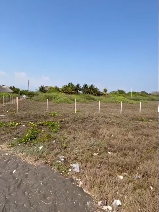 Lindo terreno frente al Mar en Monterico km 147 o 22 kms después del puente. 98 metros de frente por 100 mts de fondo (6)