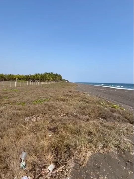 Lindo terreno frente al Mar en Monterico km 147 o 22 kms después del puente. 98 metros de frente por 100 mts de fondo (7)