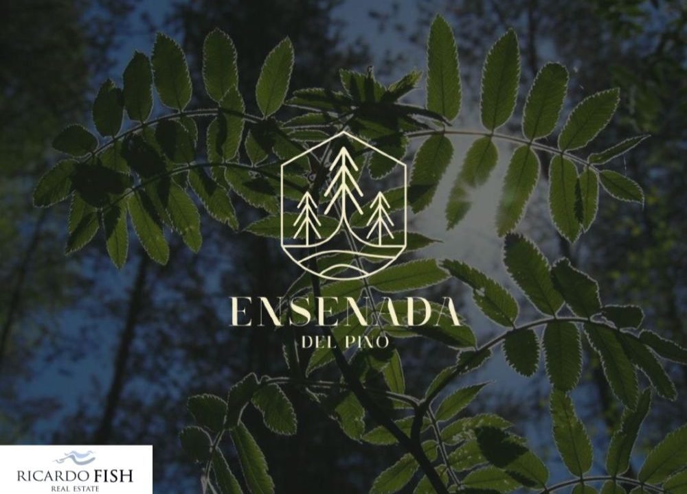 Casas En Ensenada Del Pino En Laguna Del Pino – Proyecto Exclusivo Frente Al Lago (1)