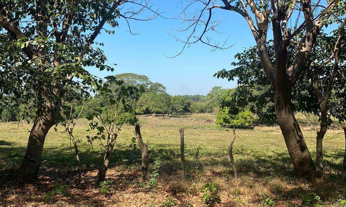 Propiedad Comercial En Venta En Escuintla Ideal Para Desarrollo Industrial O Agropecuario (2)
