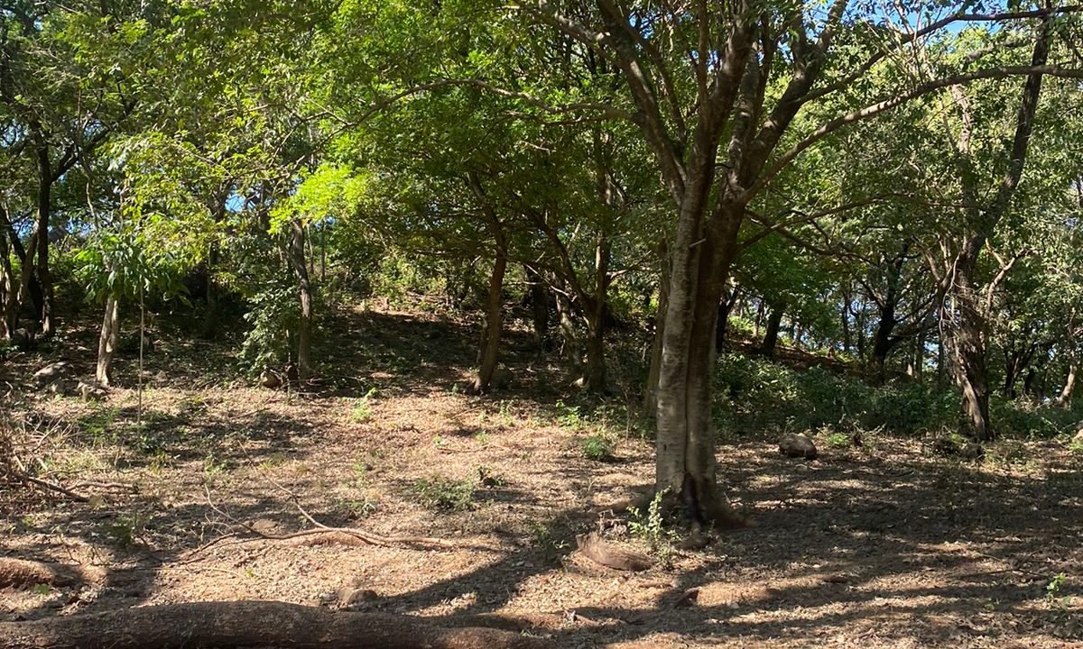 Propiedad Comercial En Venta En Escuintla Ideal Para Desarrollo Industrial O Agropecuario (3)