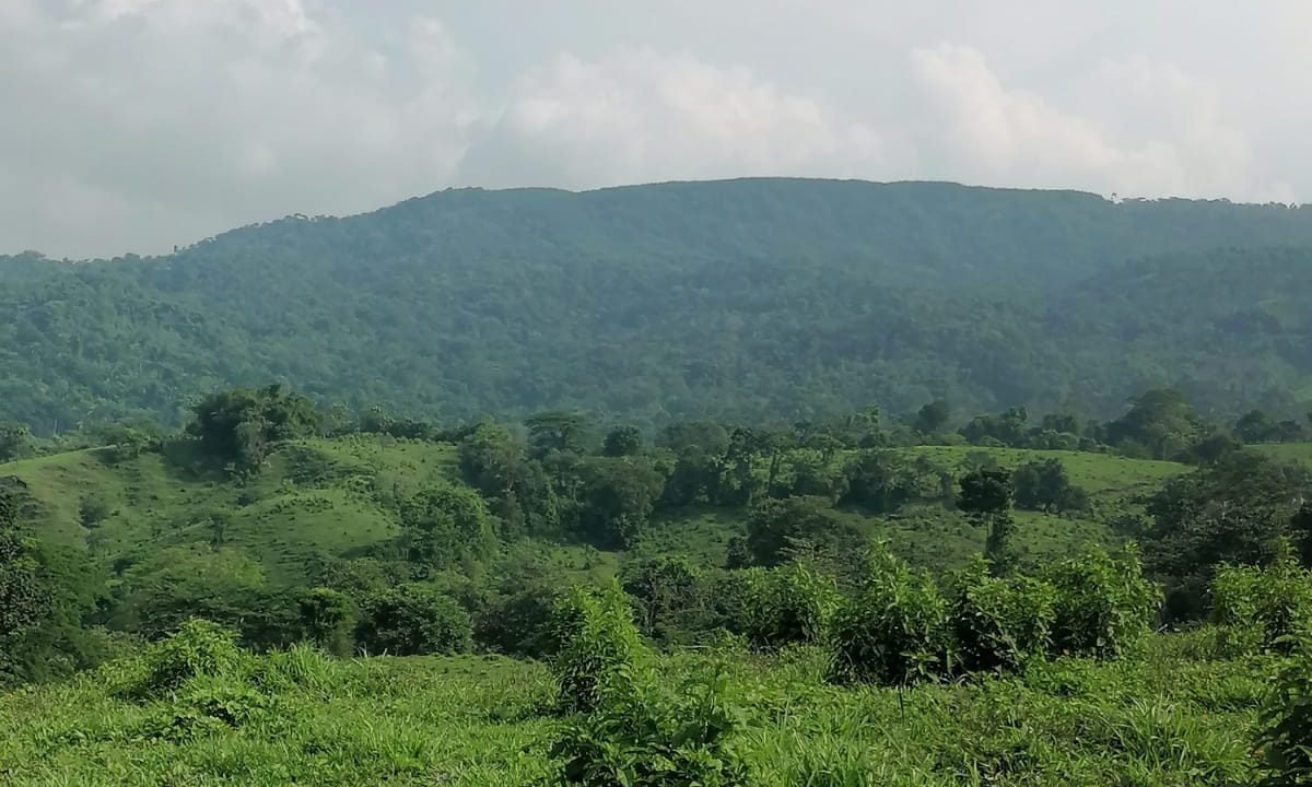Finca Ganadera En San Juan Bautista Con Potreros Y Río Suchitepéquez (1)