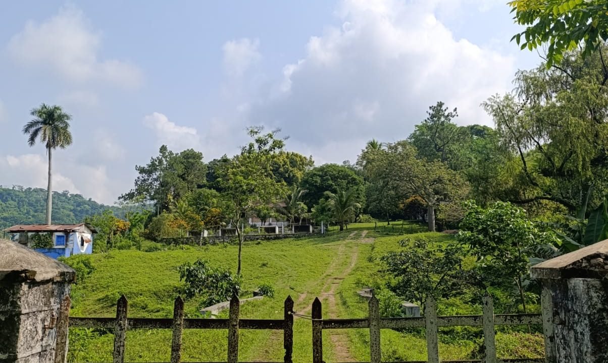 Finca Ganadera En San Juan Bautista Con Potreros Y Río Suchitepéquez (2)