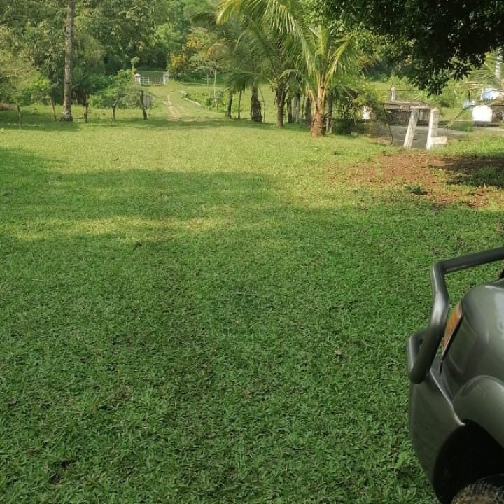 Finca Ganadera En San Juan Bautista Con Potreros Y Río Suchitepéquez (6)