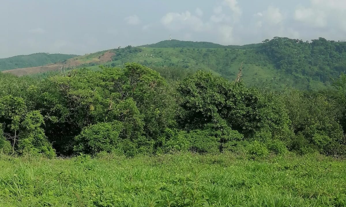 Finca Ganadera En San Juan Bautista Con Potreros Y Río Suchitepéquez (9)