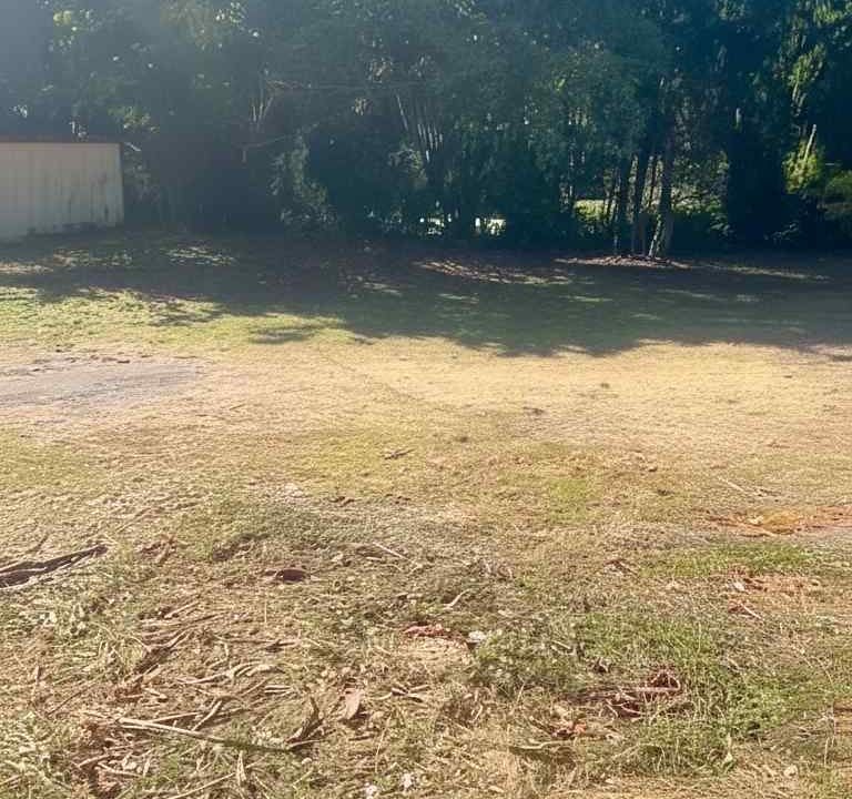 Gemini_Generated_Image_yowcxqyowcxqyowc (1)