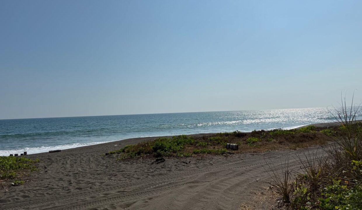 WhatsApp Image 2026-03-12 at 8.33.36 AM (1)