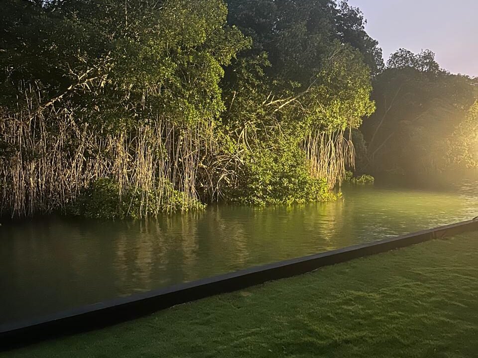 casa en venta en likin frente reserva natural manglar lujo equipamiento espacios amplios (23)