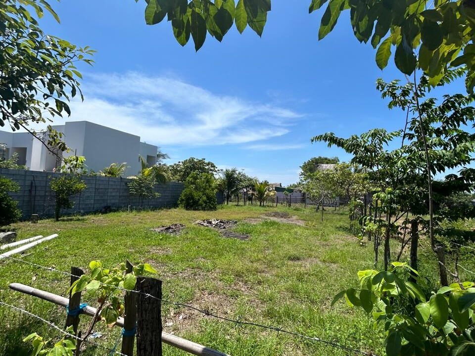 terreno en el paredon centrico zona hotelera (1)