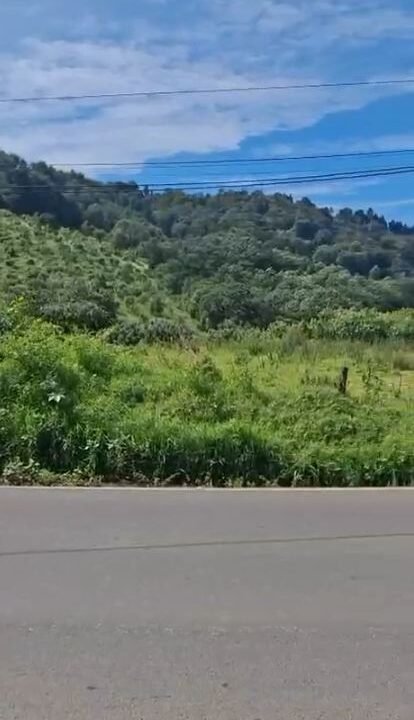 2025-11-07 10_49_28-WhatsApp