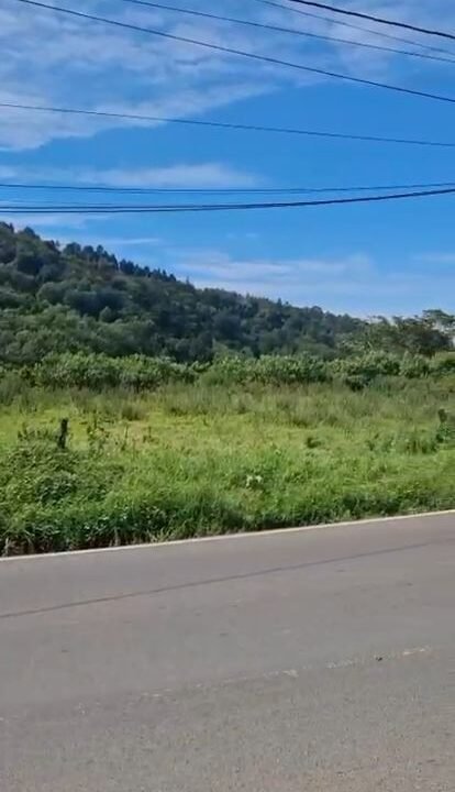 2025-11-07 10_49_38-WhatsApp