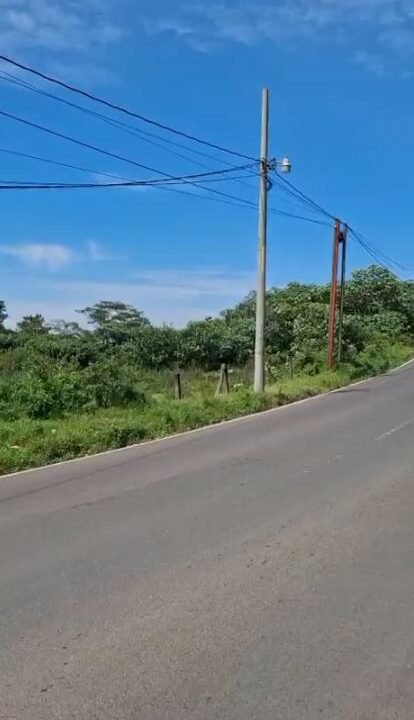 2025-11-07 10_49_43-WhatsApp