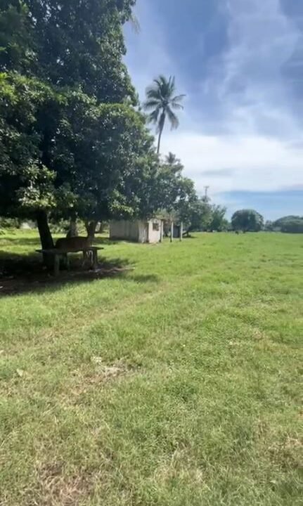 2025-11-19 15_38_16-WhatsApp