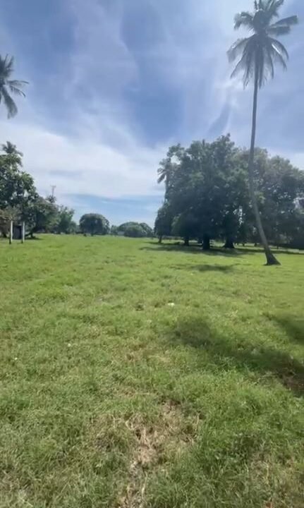 2025-11-19 15_38_36-WhatsApp