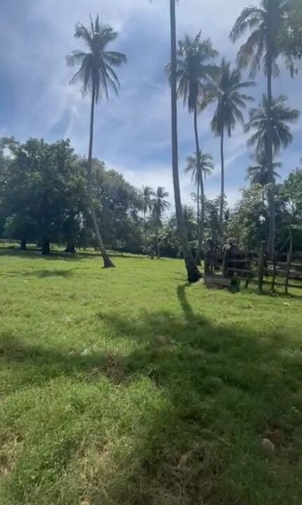 2025-11-19 15_38_43-WhatsApp