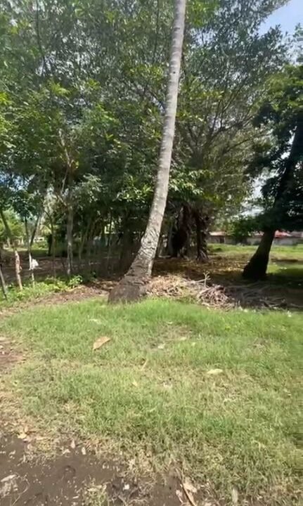 4 manzanas en Parcelamiento Arizona. Excelente ubicación a 10 kms del puerto