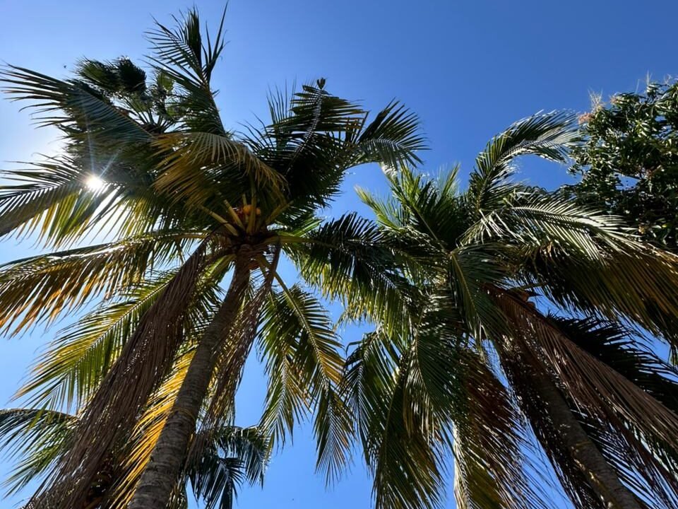 Casa en San Marino Amplio Espacio San Marino 2 (1)