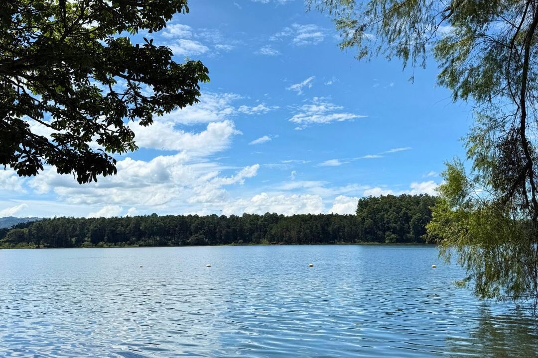 Terreno en Laguna del Pino Espectacular Vista a la Laguna (1)