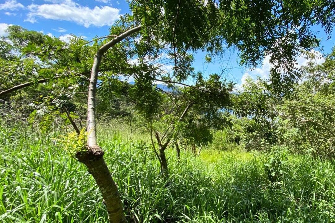 Terreno en Laguna del Pino Espectacular Vista a la Laguna (2)