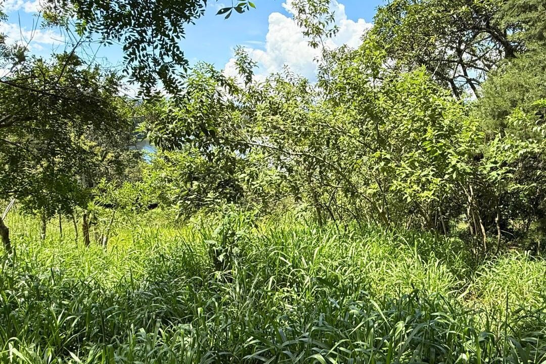 Terreno en Laguna del Pino Espectacular Vista a la Laguna (4)